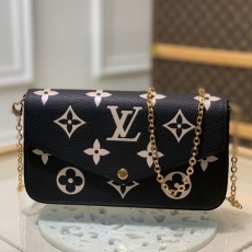 LV Purse